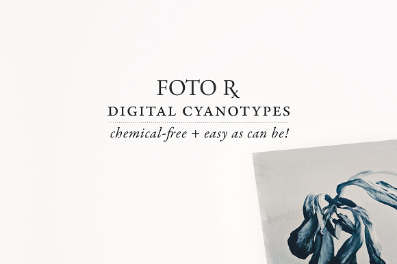 Digital Cyanotype Effect in Add-Ons - product preview 5