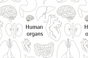 Different human organs set pattern