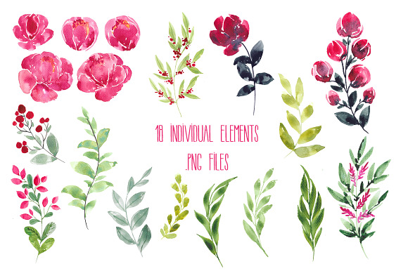 Sevil's watercolor flower set in Illustrations - product preview 1