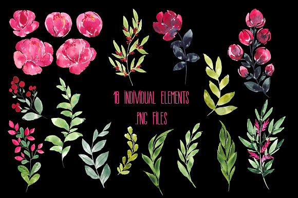 Sevil's watercolor flower set in Illustrations - product preview 2