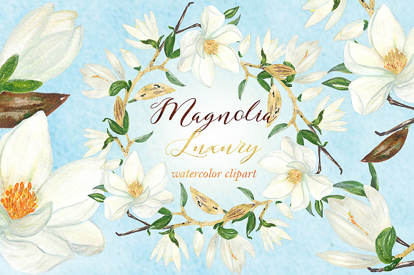 Magnolia white luxury illustrations in Illustrations - product preview 3