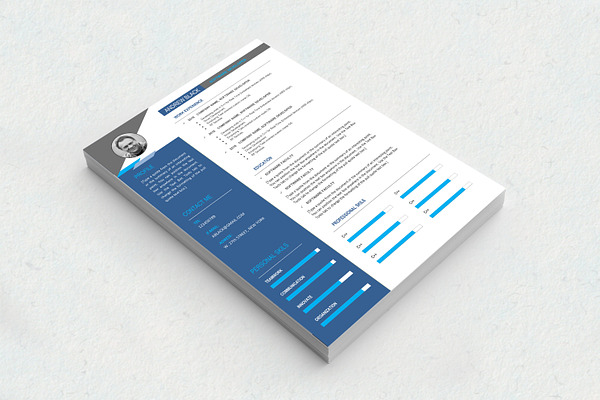 Resume Template for MS Word