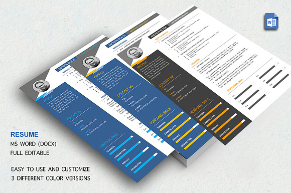 Resume Template for MS Word in Resume Templates - product preview 3