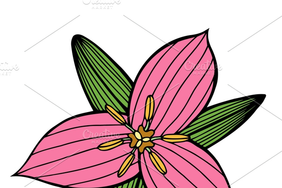 Set of 12 Vector Flowers in Graphics - product preview 8
