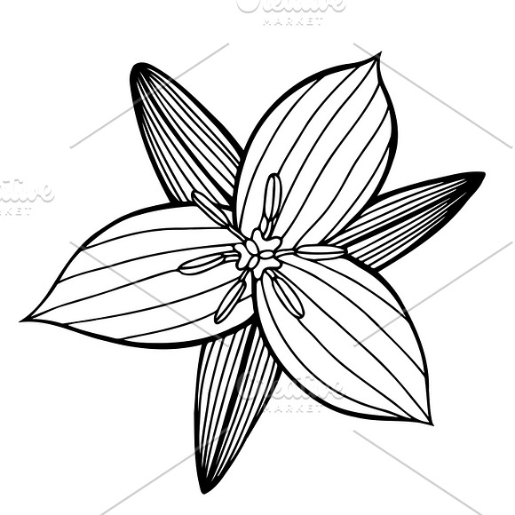 Set of 12 Vector Flowers in Graphics - product preview 1