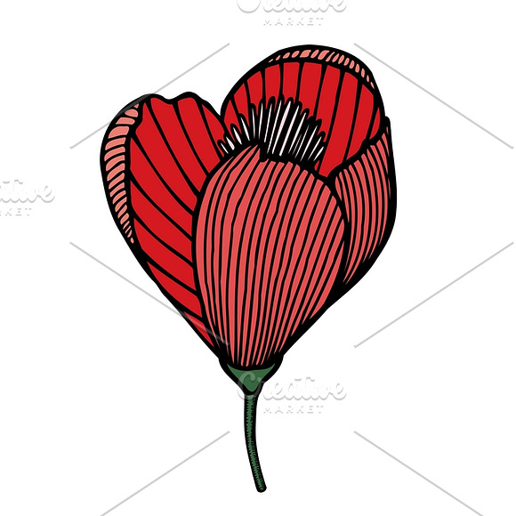 Set of 12 Vector Flowers in Graphics - product preview 2