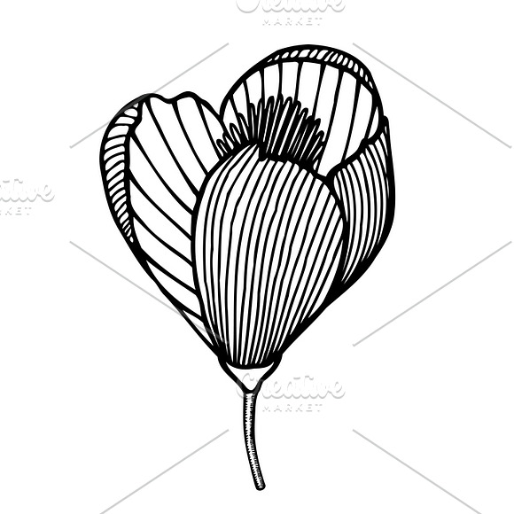 Set of 12 Vector Flowers in Graphics - product preview 3