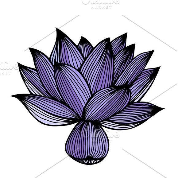 Set of 12 Vector Flowers in Graphics - product preview 4