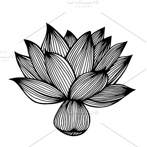 Set of 12 Vector Flowers in Graphics - product preview 5