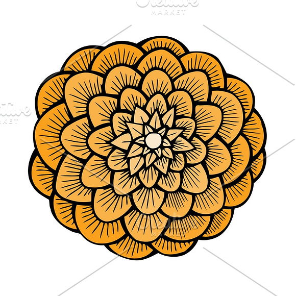 Set of 12 Vector Flowers in Graphics - product preview 6