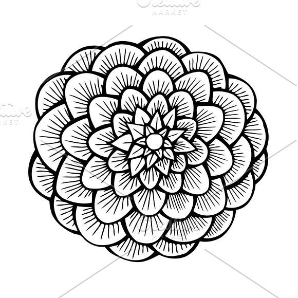 Set of 12 Vector Flowers in Graphics - product preview 7