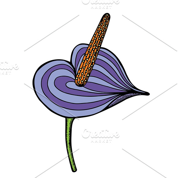Set of 12 Vector Flowers in Graphics - product preview 10