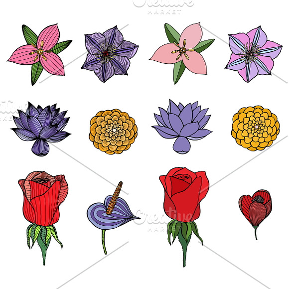 Set of 12 Vector Flowers in Graphics - product preview 12