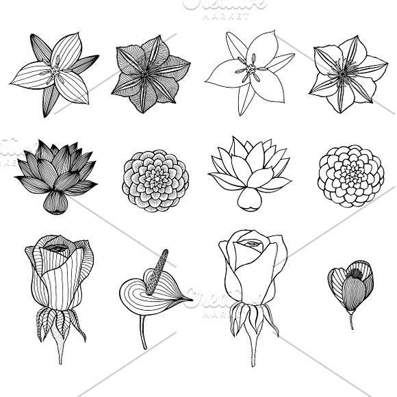 Set of 12 Vector Flowers in Graphics - product preview 13