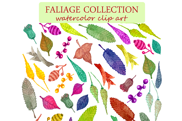Watercolor leaves clipart, foliage