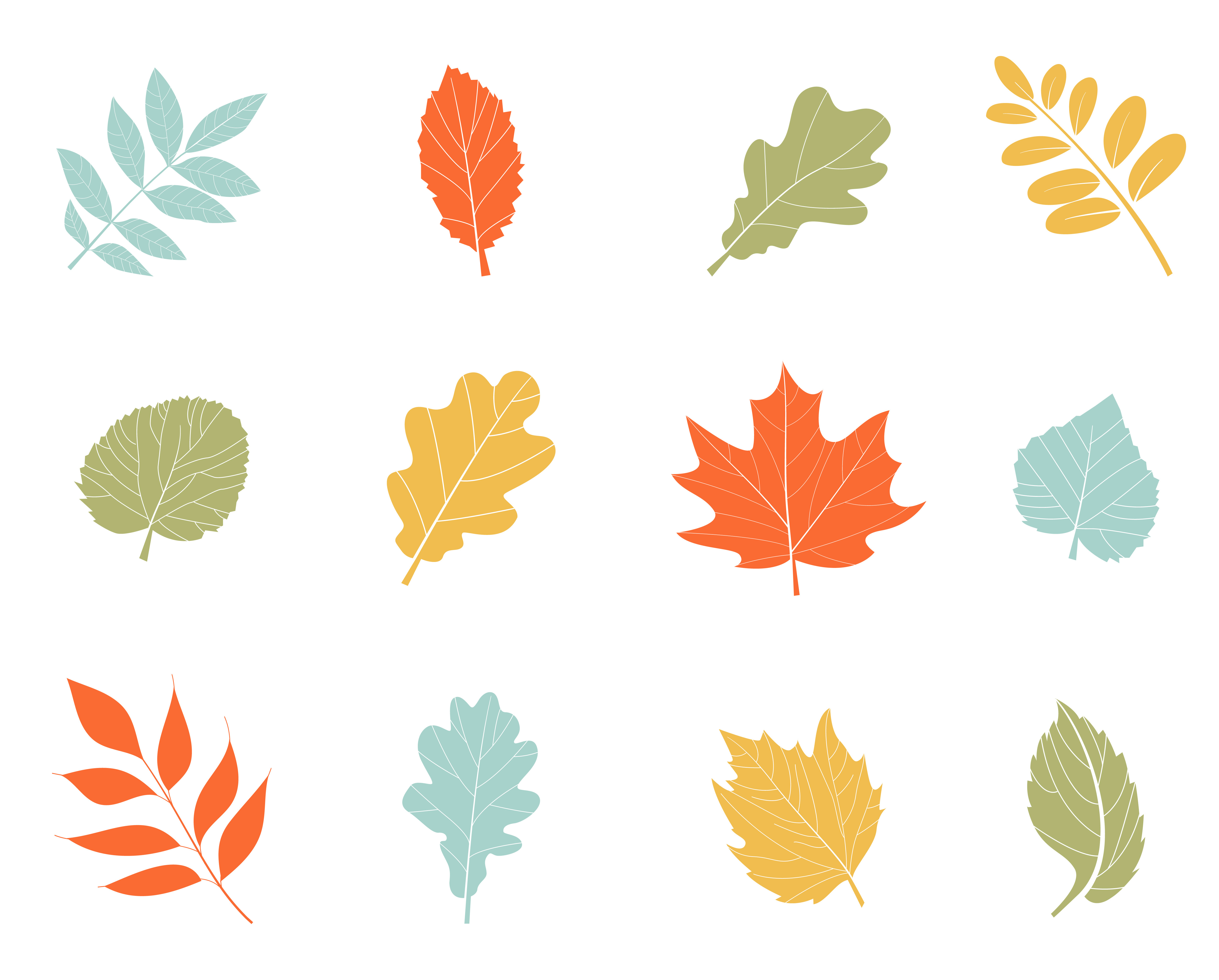 Vector autumn leaves. CustomDesigned Graphics
