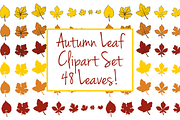 Autumn Leaf Clipart Set