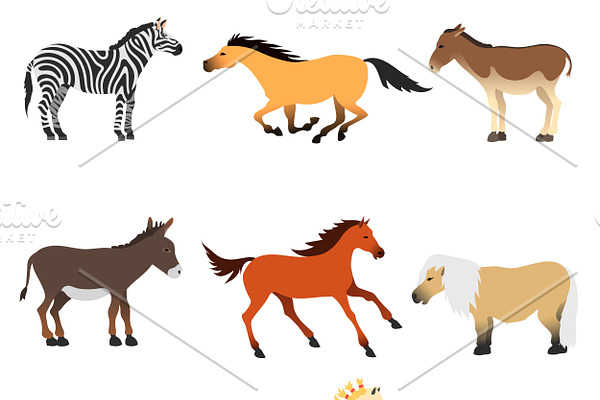 Different cartoon horses vector
