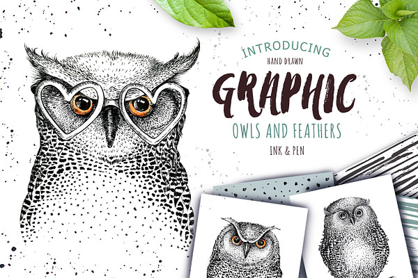 BIG Graphic Owls collection!