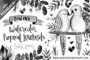 Watercolor Love Birds - B&W Pack