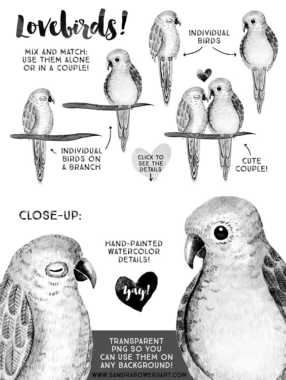 Watercolor Love Birds - B&W Pack in Illustrations - product preview 2