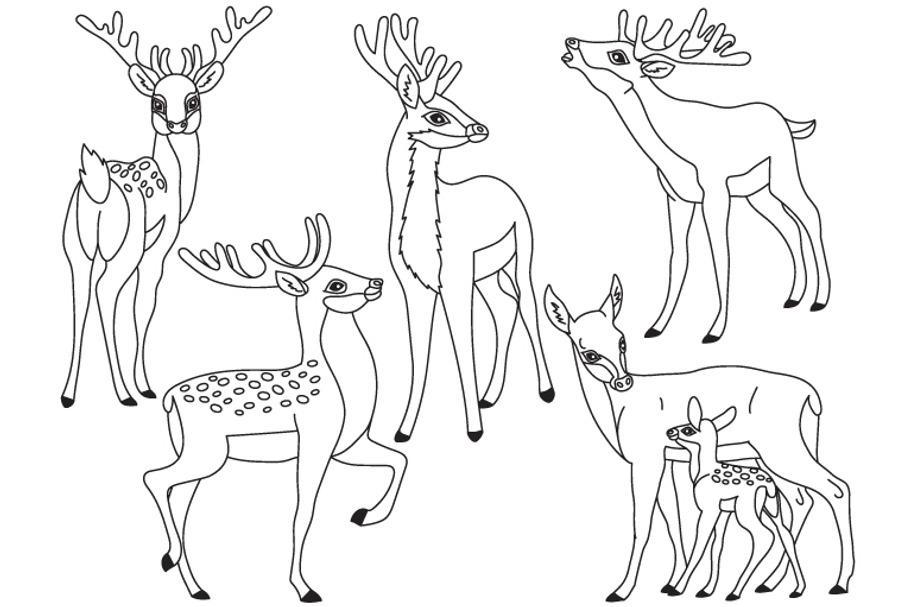 Vector Black and White Forest Deers 