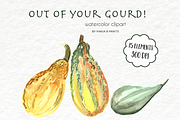 Watercolor Clip Art - Gourds