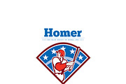 Homer Baseball News Logo