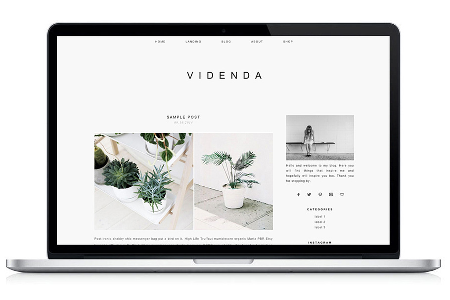 Responsive WP Theme - Videnda in WordPress Commerce Themes - product preview 8