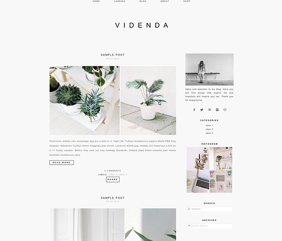 Responsive WP Theme - Videnda in WordPress Commerce Themes - product preview 1
