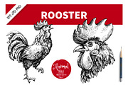 Hand Drawn Sketch Rooster Vector Set