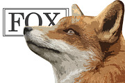 Fox Illustration 