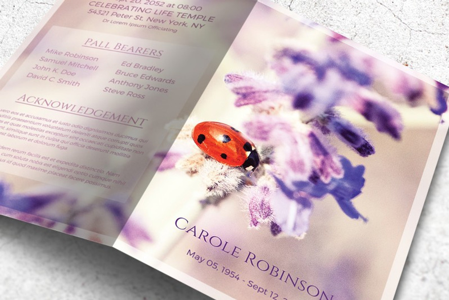 Ladybug Funeral Program Template
