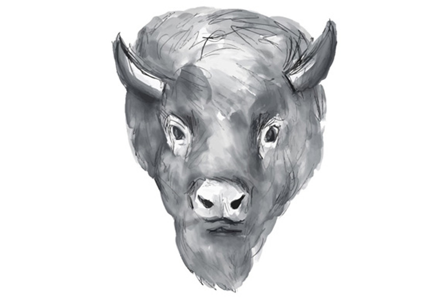 American Bison Head Watercolor