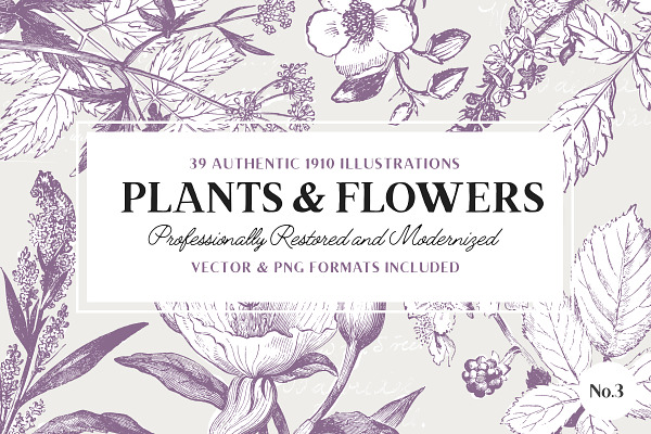 39 Plant & Flower Illustrations No.3