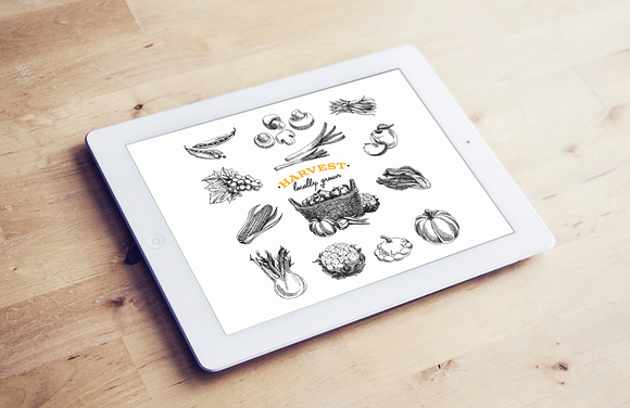 Mega pack. Fruits and vegetables. in Illustrations - product preview 6