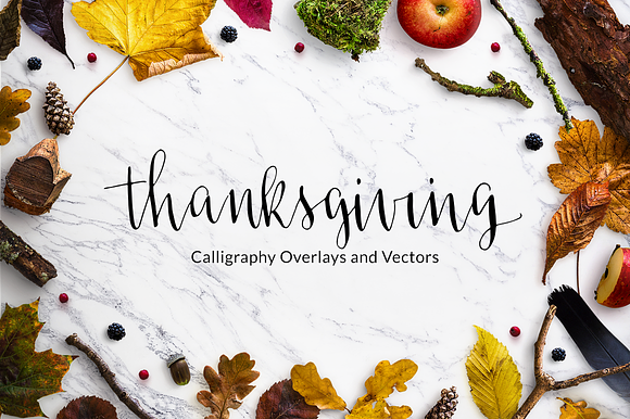 Thanksgiving Calligraphy Overlays in Illustrations - product preview 3