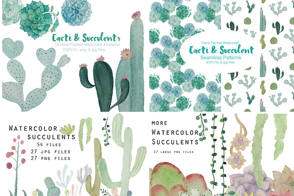 Watercolor Cacti & Succulent 4 pack