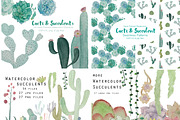Watercolor Cacti & Succulent 4 pack