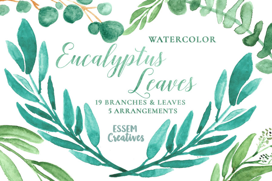 Watercolor Leaves Clipart Eucalyptus in Illustrations - product preview 8