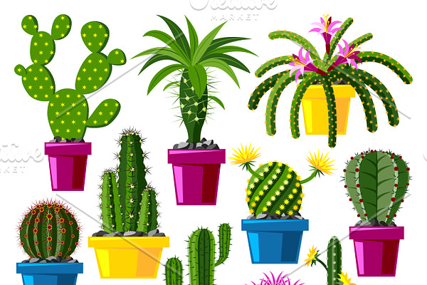 Cartoon cactus vector set
