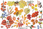 Autumn leaves, berries,branches set