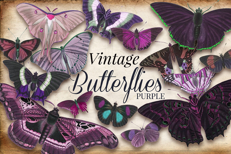 Vintage Purple Butterflies in Graphics - product preview 8