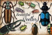 Vintage Beetles Set 2