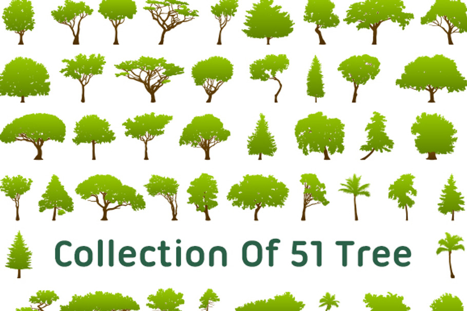 Collection Of 51 Tree