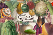 Vintage Vegetables Set 3