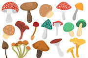 Mushrooms vector set
