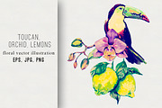 Toucan,orchid,lemons illustration