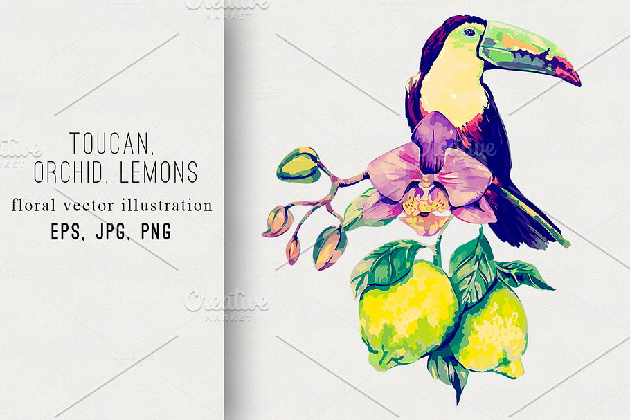 Toucan,orchid,lemons illustration in Illustrations - product preview 8