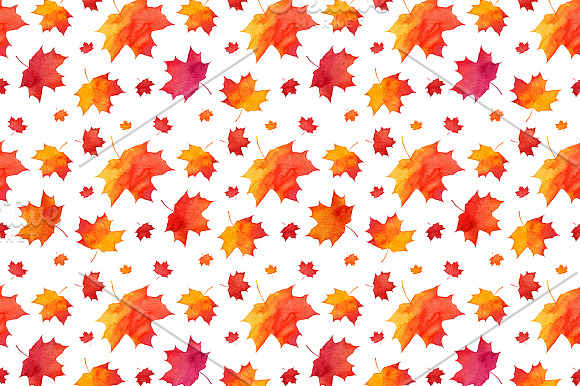 15 Watercolor autumn elements in Patterns - product preview 3